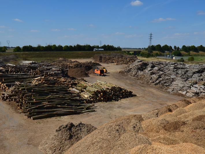 La biomasse à toute vapeur